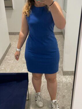 Blue Sleeveless Sheath Dress